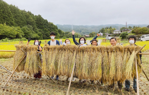 山村留学（稲刈り）