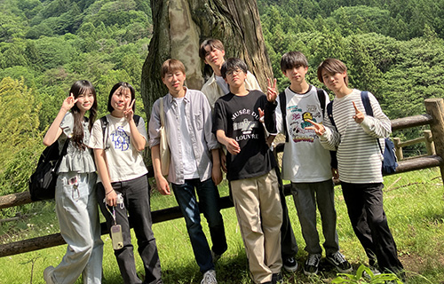 山村留学(稲刈り)